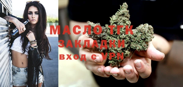 mix Богородицк